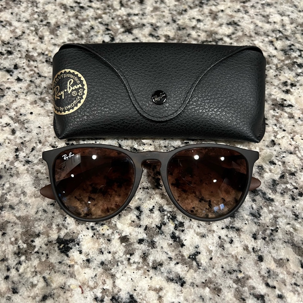 Ray-Ban Erika Sunglasses